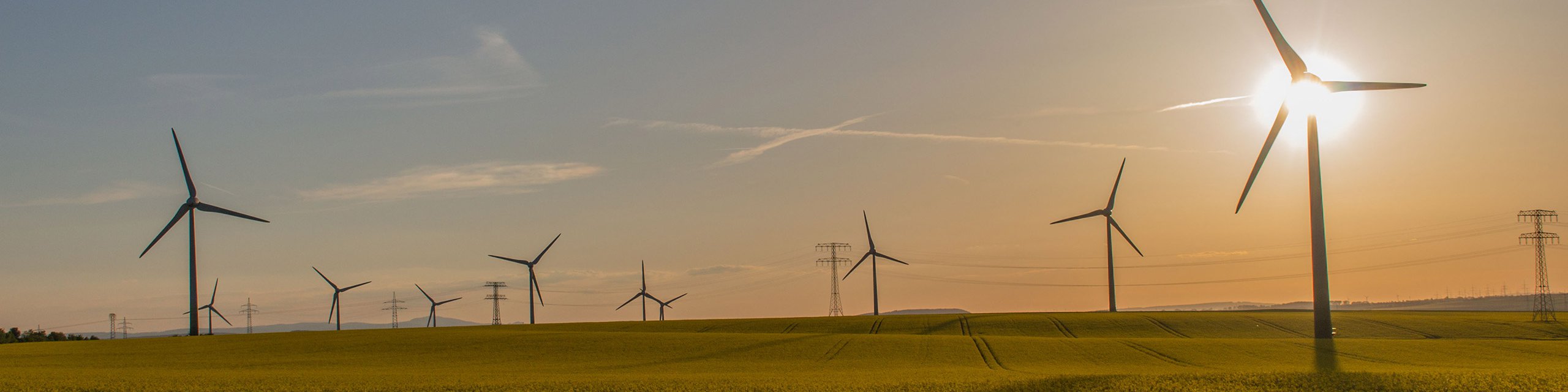 Windpark mit Sonnenuntergang auf einem Feld