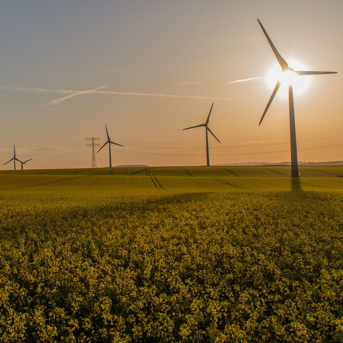 Windpark mit Sonnenuntergang auf einem Feld