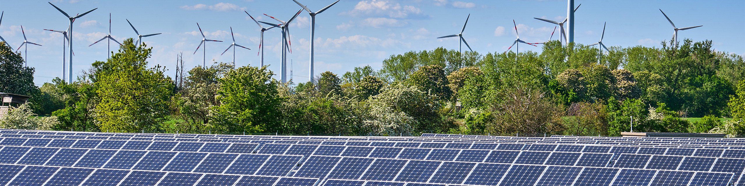 Eine Freiflächensolaranlage mit Bäumen und mehreren Windrädern