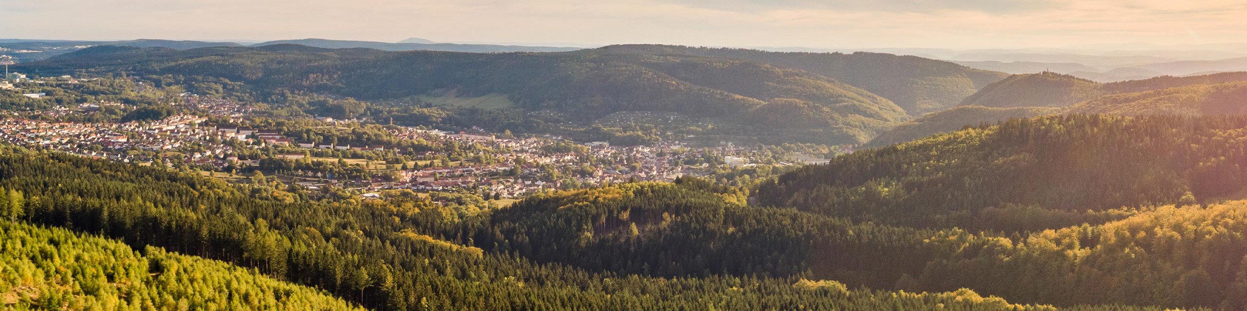 Blick von oben auf Zella-Mehlis umgeben vom Thüringer Wald