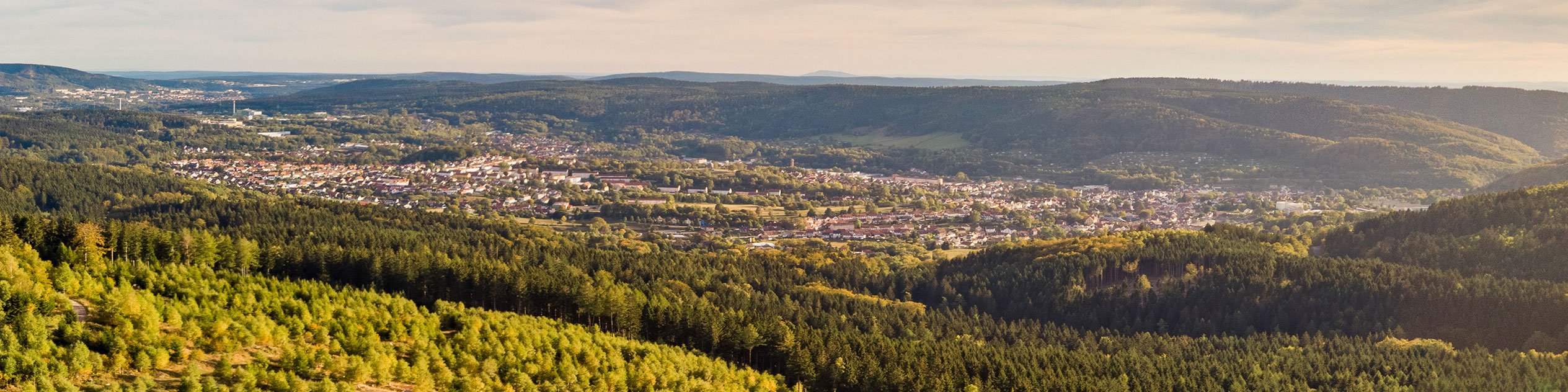 Blick auf Zella-Mehlis und den Thüringer Wald vom Heinrichsbacher Stein aus 