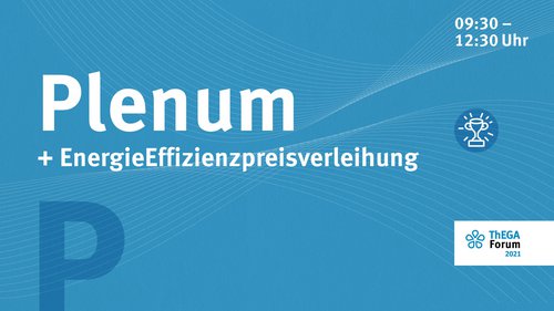 ThEGA-Forum 2021- Plenum ThEGA-Forum 2021- Plenum