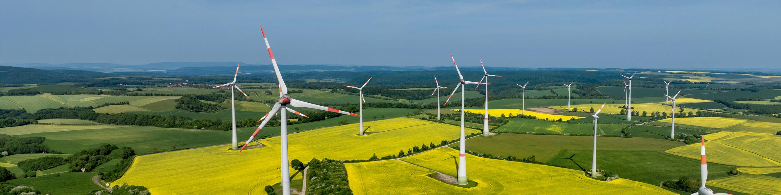 Windpark mit Rapsfeldern Ein Windpark mit ca. 20 Windenergieanlagen in Thüringen umgeben von gelben, blühenden Rapsfeldern
